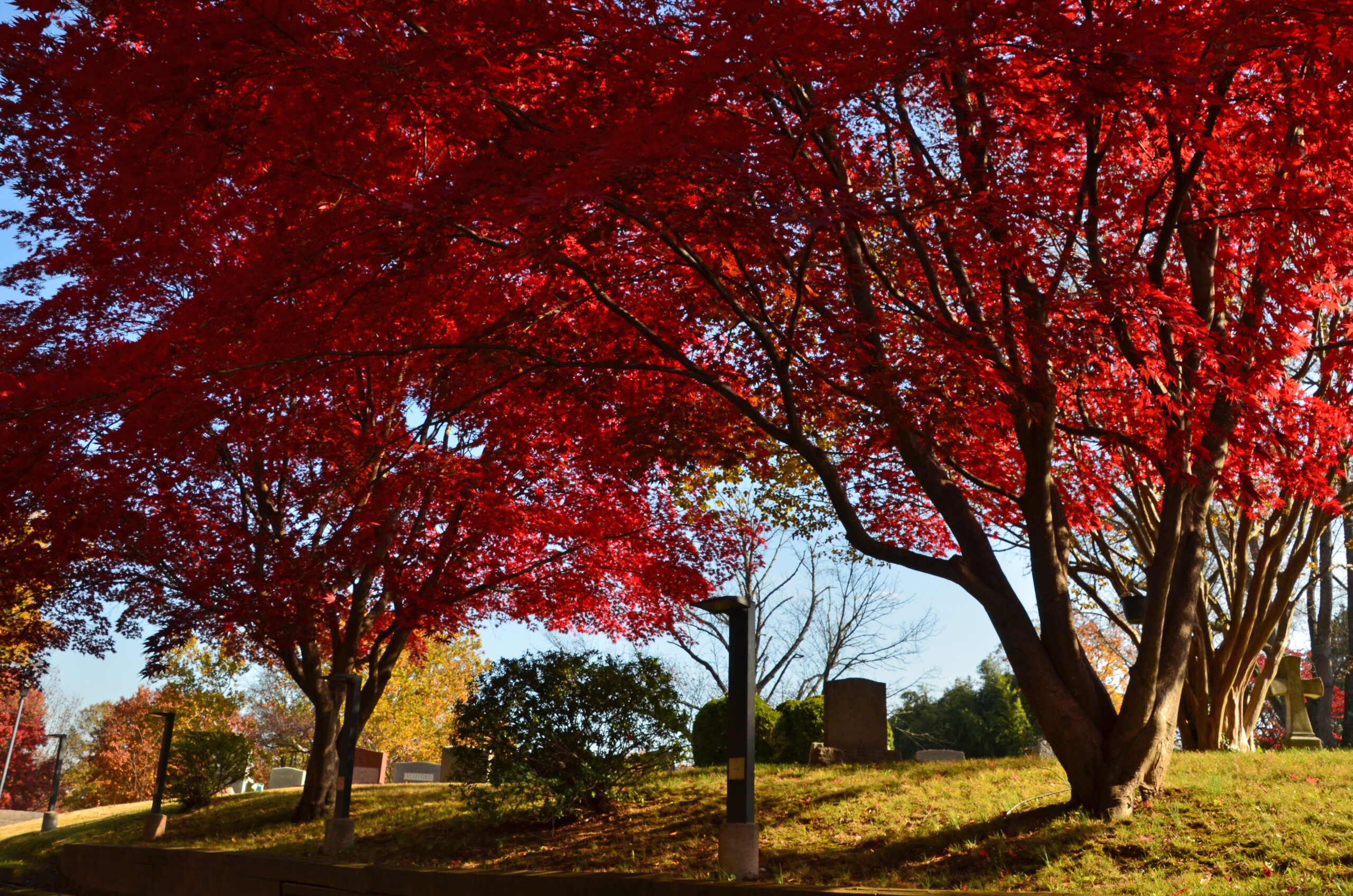 Fall-in-the-Walker-Chapel-Cemetery