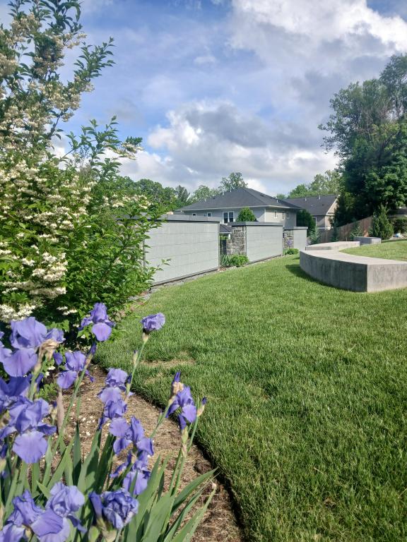 Irises-in-bloom-by-the-Columbarium-in-the-Walker-Chapel-Cemetery