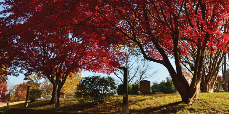 Hero-Tour-the-Cemetery